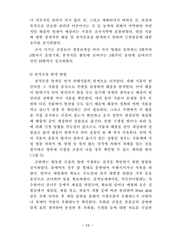 13페이지