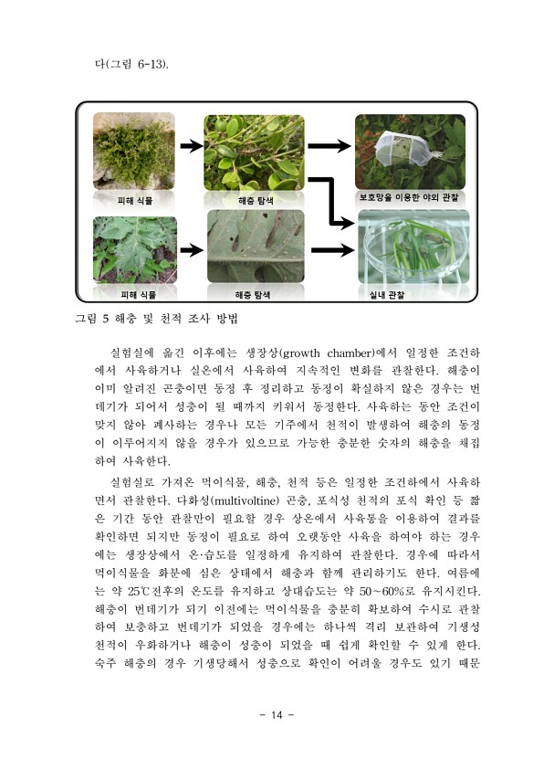 14페이지