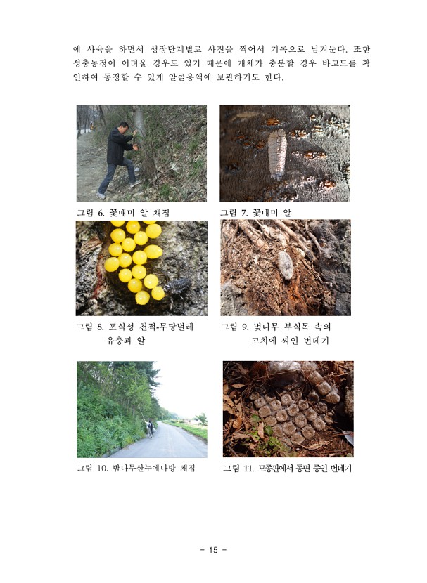 15페이지