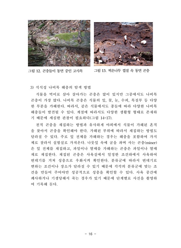 16페이지