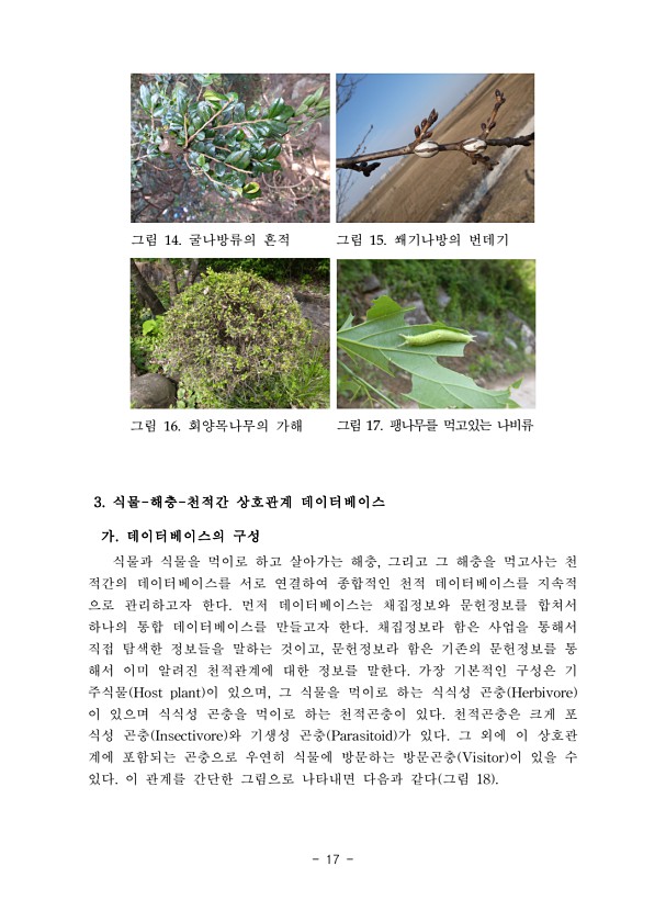 17페이지