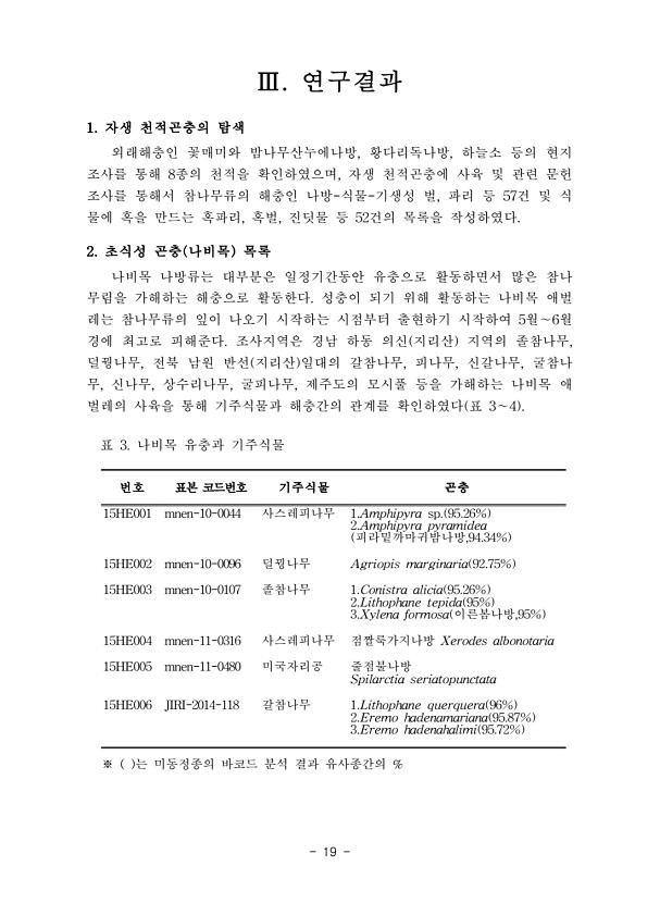 19페이지
