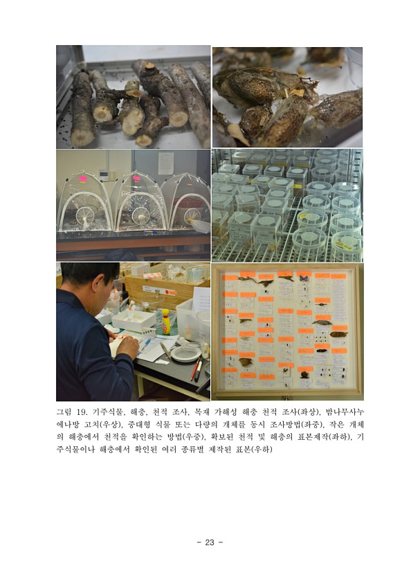 23페이지