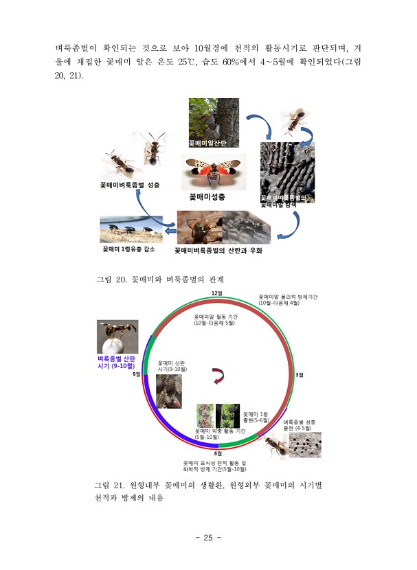 25페이지