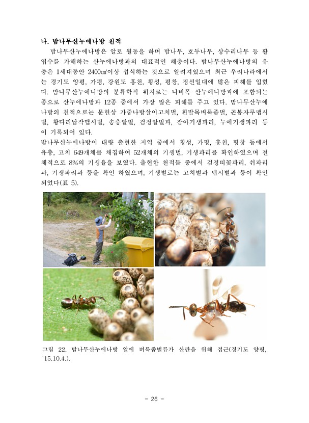 26페이지