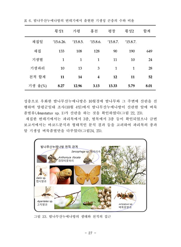 27페이지