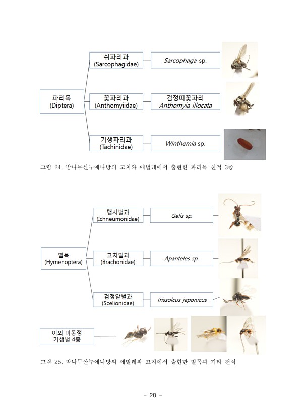 28페이지