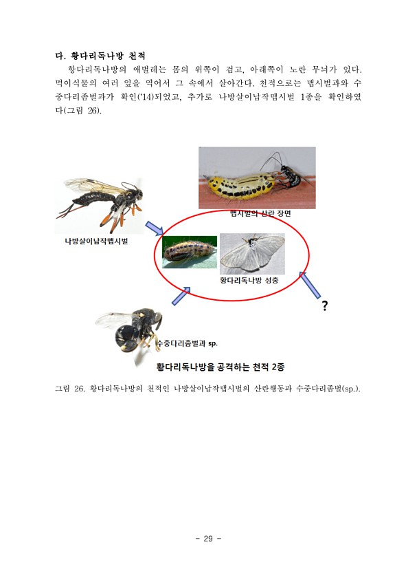 29페이지