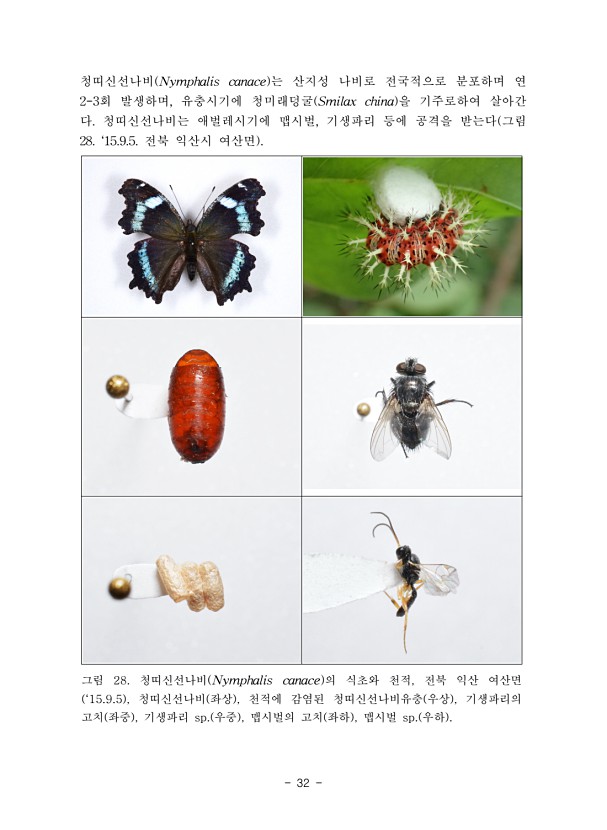 32페이지