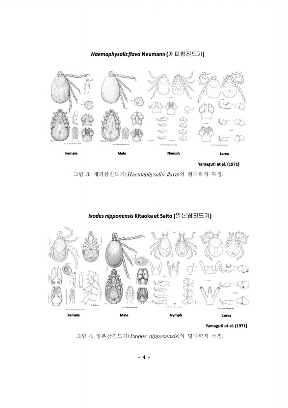 4페이지