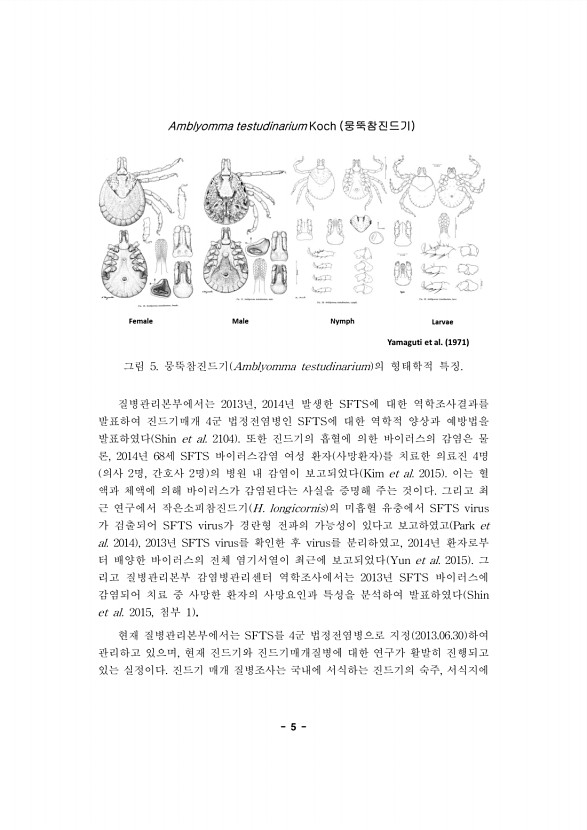 5페이지