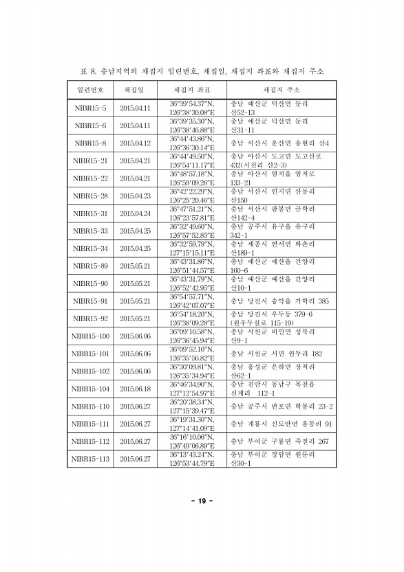 19페이지