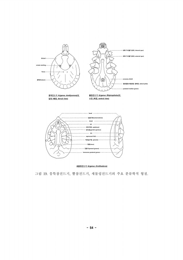 54페이지