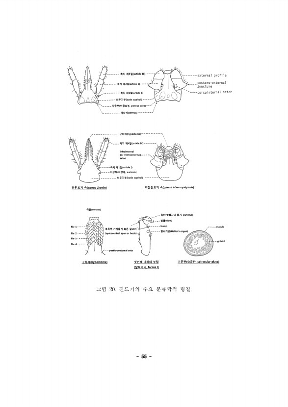 55페이지
