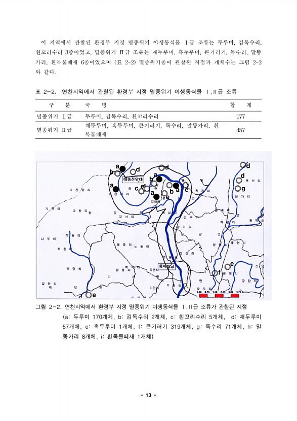 13페이지