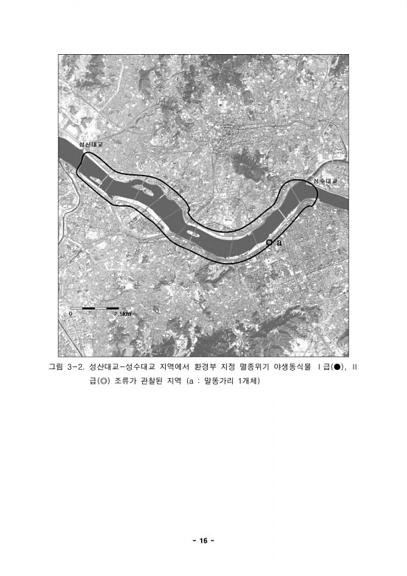 16페이지