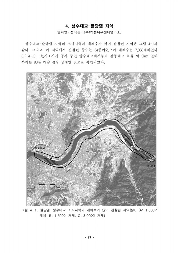 17페이지