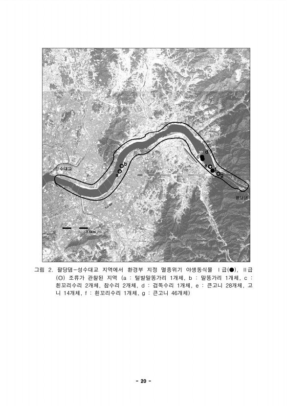 20페이지