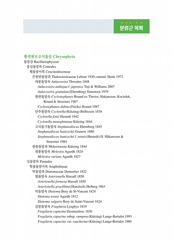 13페이지