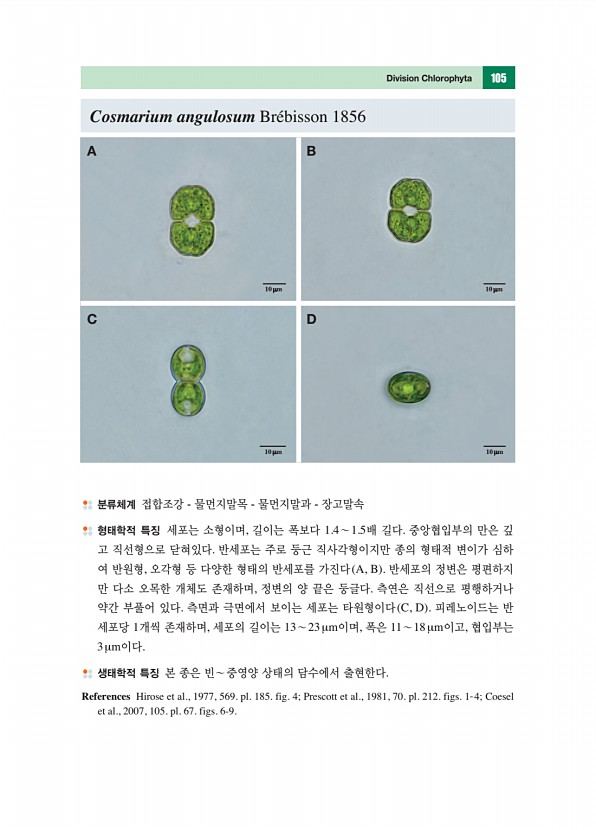 104페이지