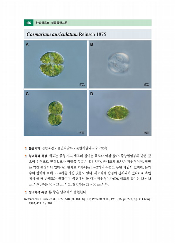 105페이지