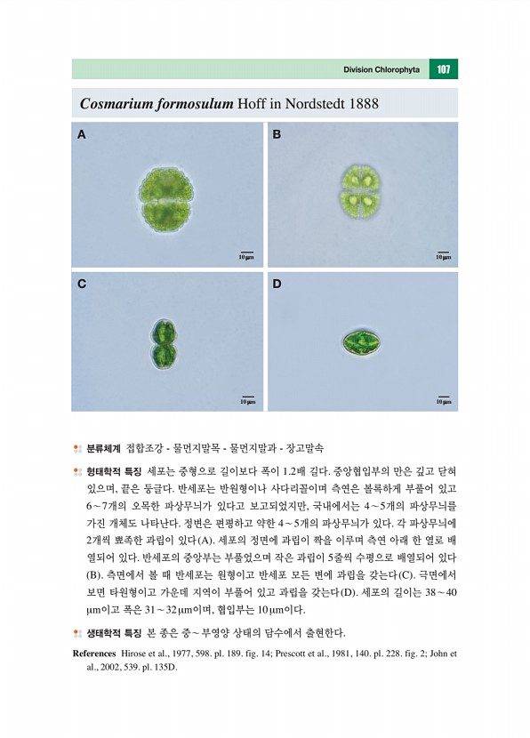 96페이지