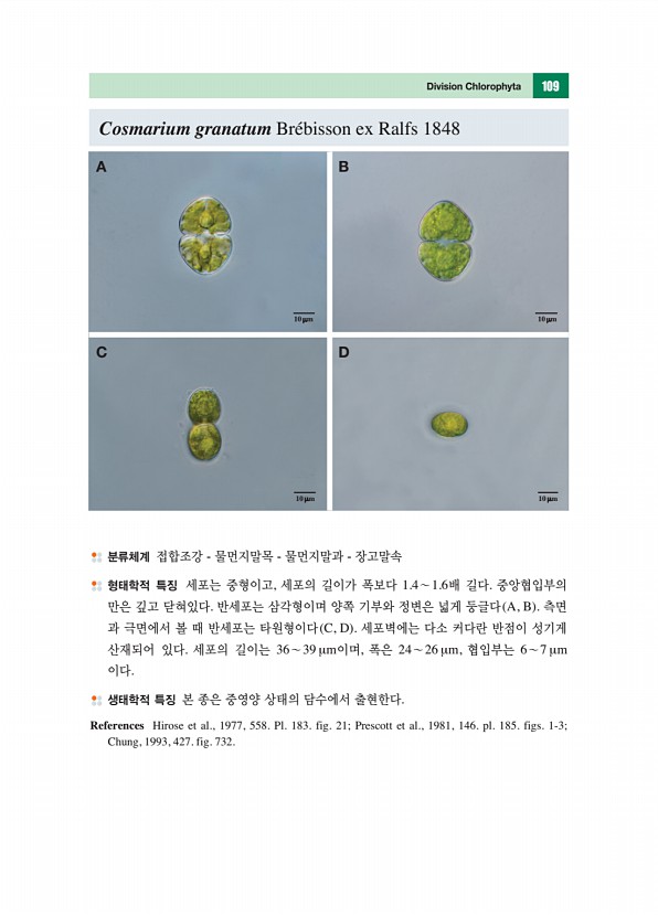 98페이지