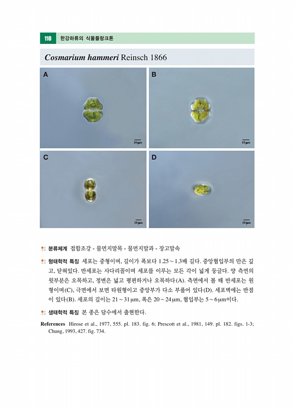 99페이지