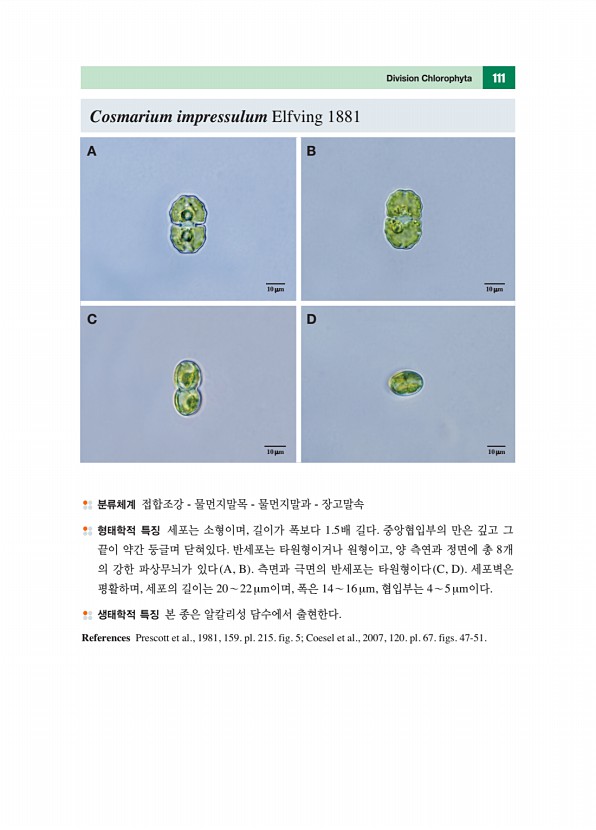 110페이지