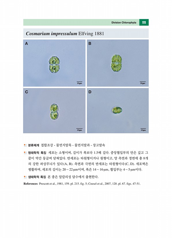 100페이지