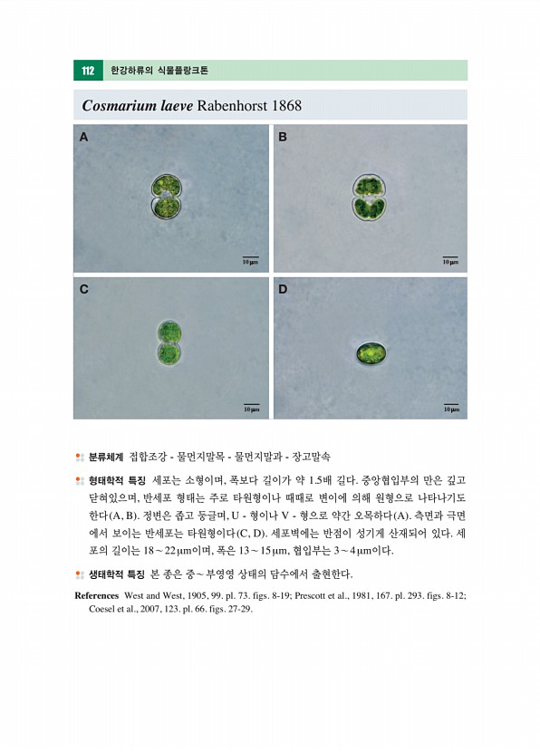 111페이지