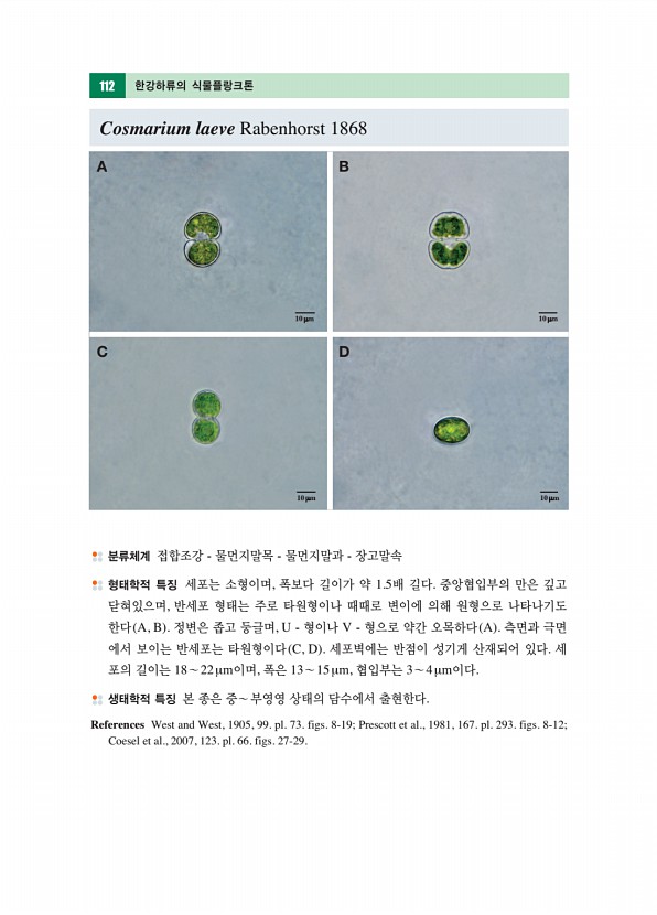 101페이지