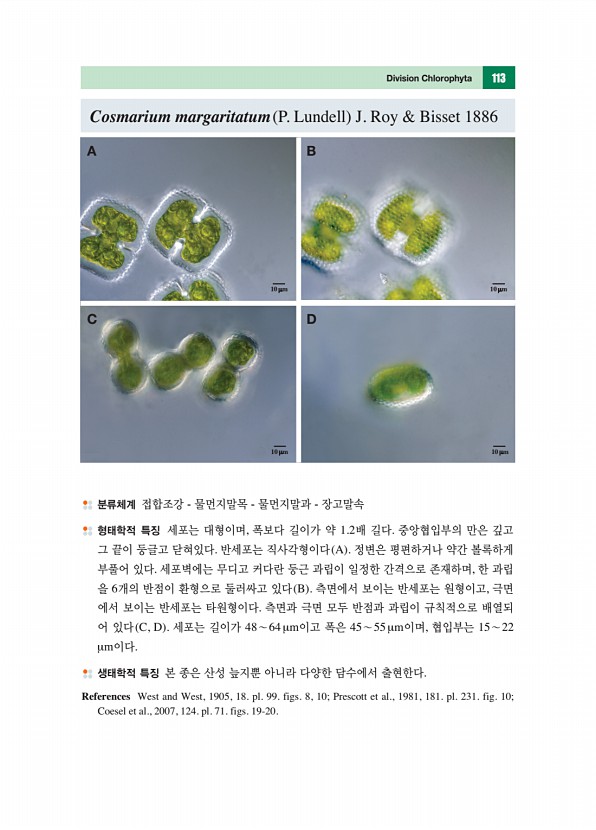 112페이지