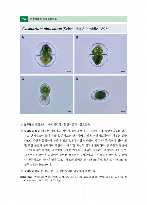 113페이지