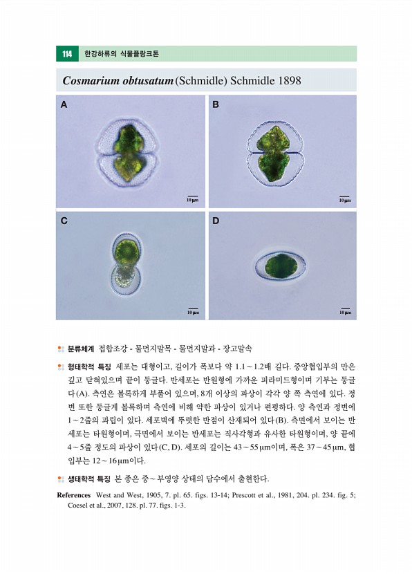 103페이지