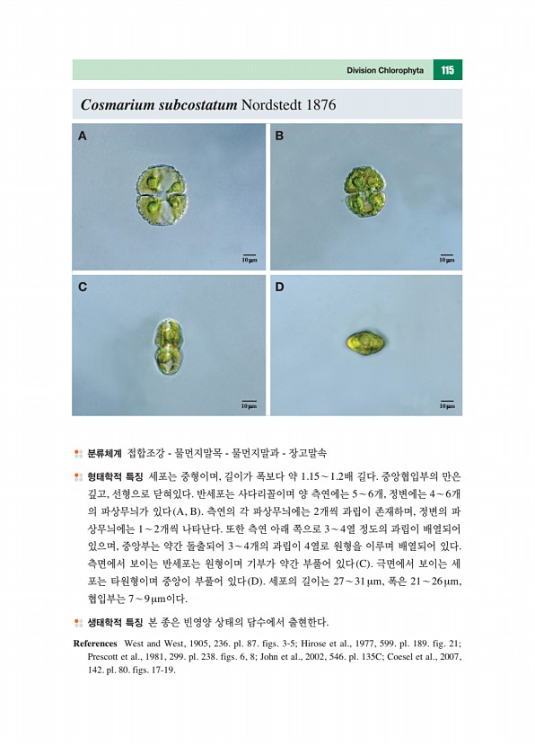 104페이지