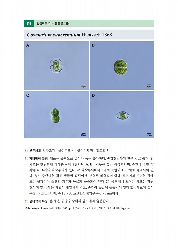 115페이지