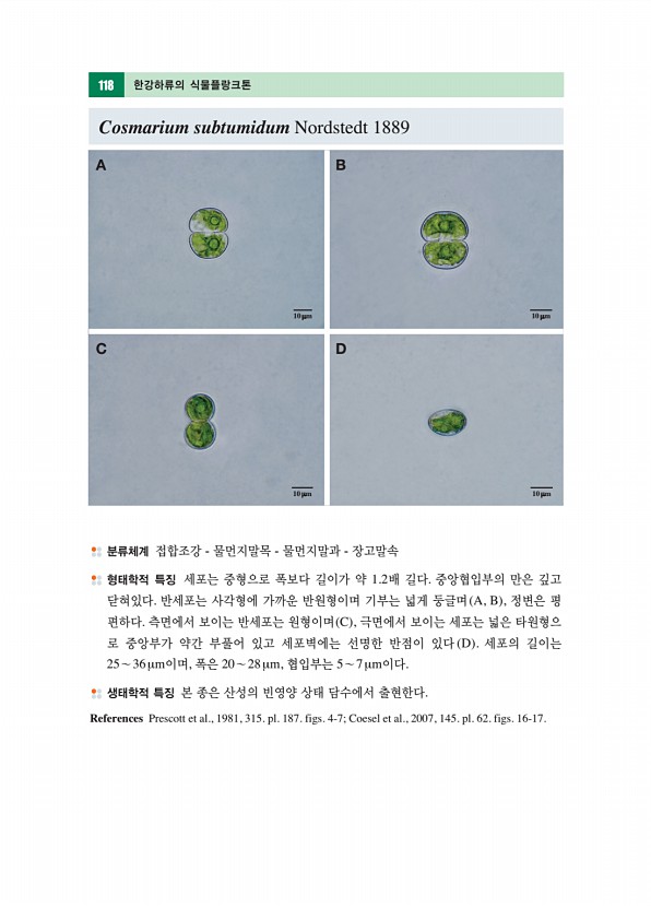 117페이지