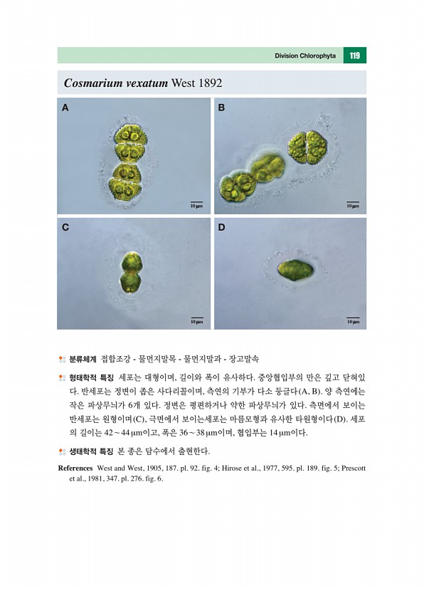 118페이지