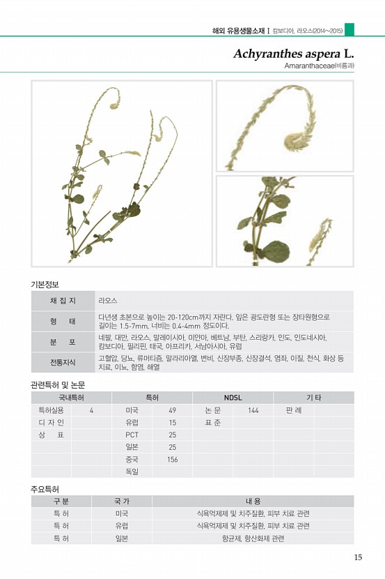 페이지