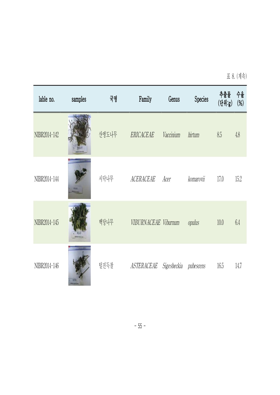 페이지