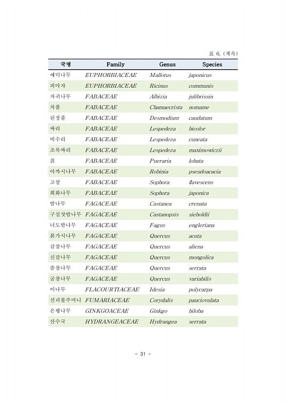 31페이지