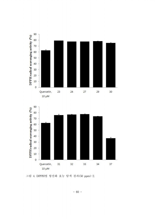 60페이지