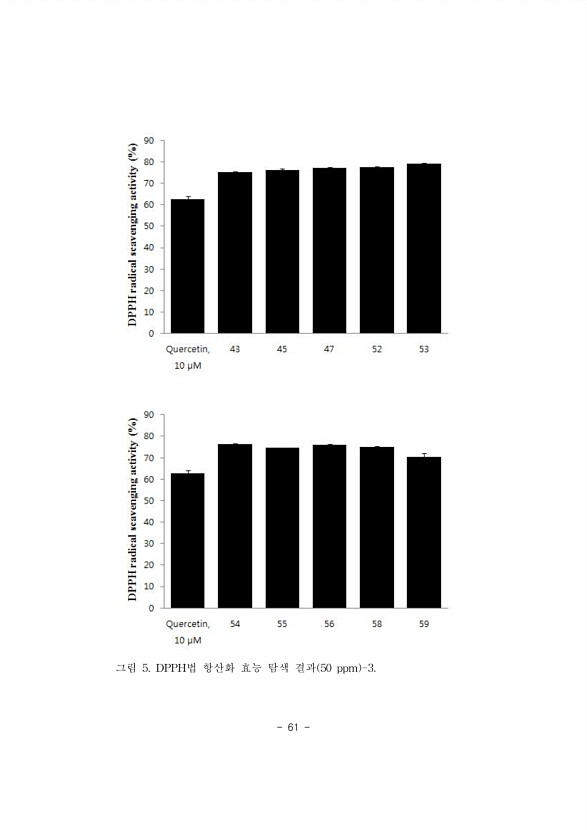 61페이지