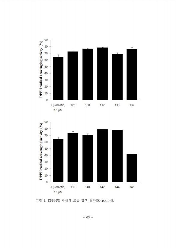 63페이지