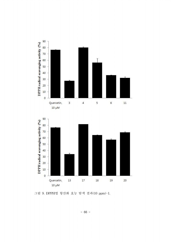 66페이지