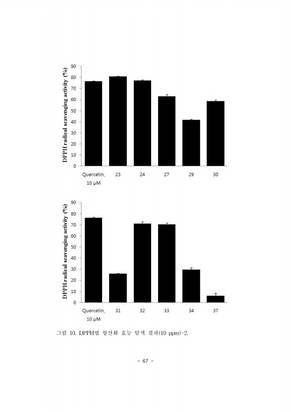 67페이지