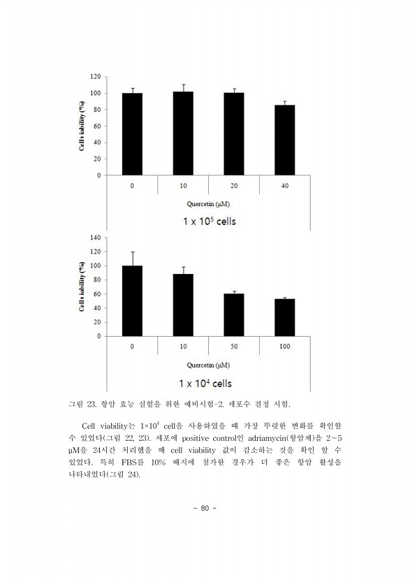 80페이지