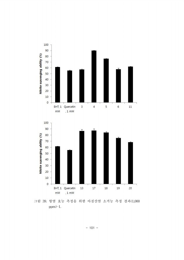 101페이지