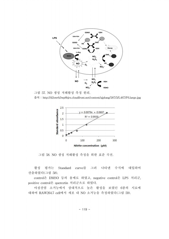 119페이지